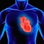 Заболевания сердца. Как их можно предотвратить?