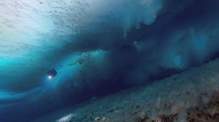 Уникальная подводная съёмка местного подводного мира