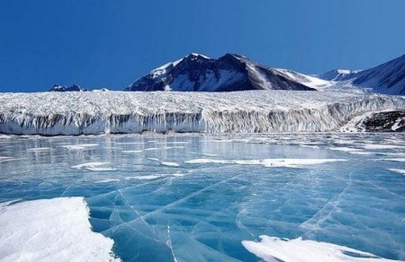 Морской лед. Рецепт выживания в Арктике