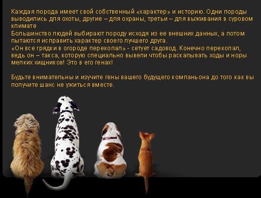 Как исправить свой характер: 11 советов, как изменить свой характер в лучшую сторону