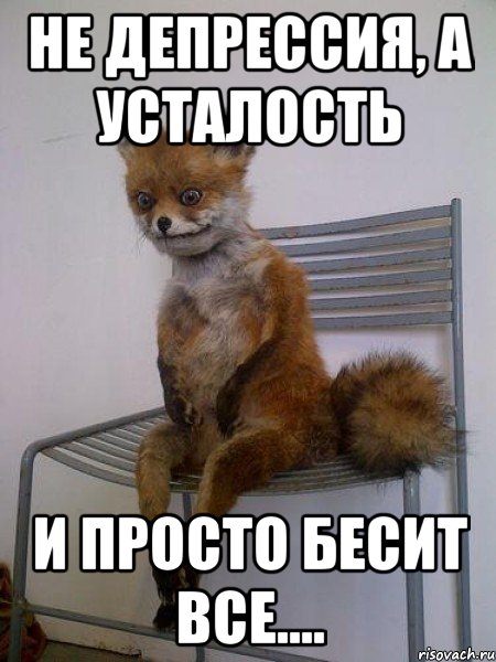 Все бесят: Что пить, если все бесит? Пять легальных средств, которые помогут обрести дзен