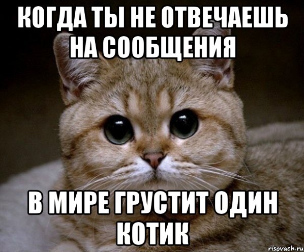 Почему девушка не отвечает на сообщения: «Почему девушка не отвечает на сообщения?» – Яндекс.Кью