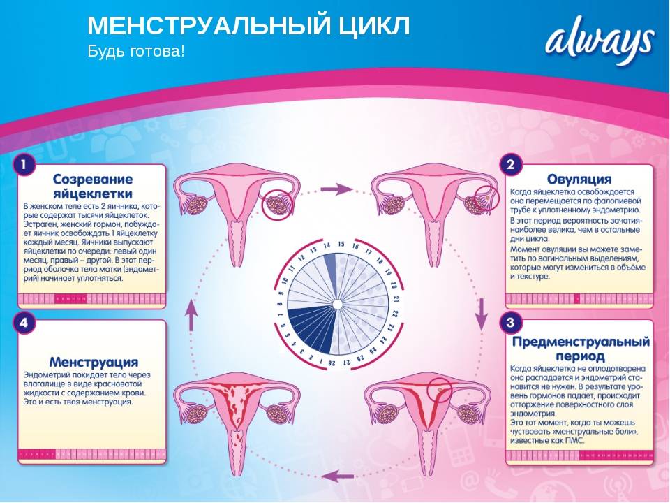 Дни когда девушка может не забеременеть: акушер-гинеколог, врач высшей категории Старостина Антонина Викторовна.