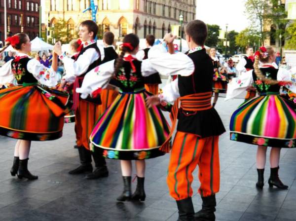 Фото полька: Роза Полька (Polka): фото, отзывы, описание, характеристики.