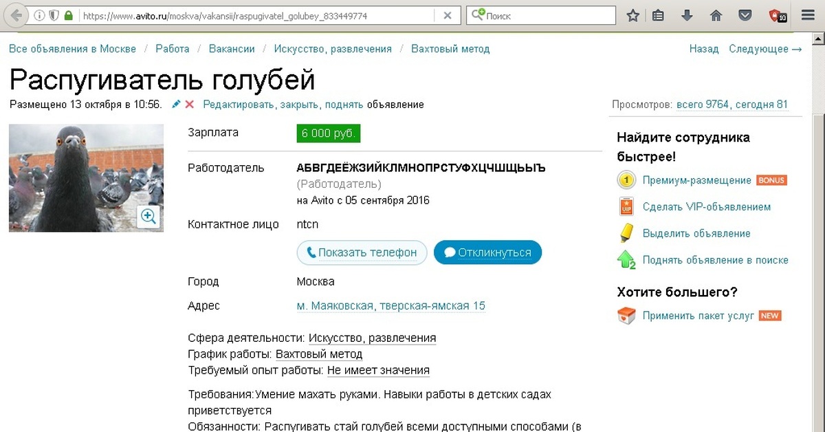 Объявление на авито о работе: Свежие вакансии | Работа | Авито