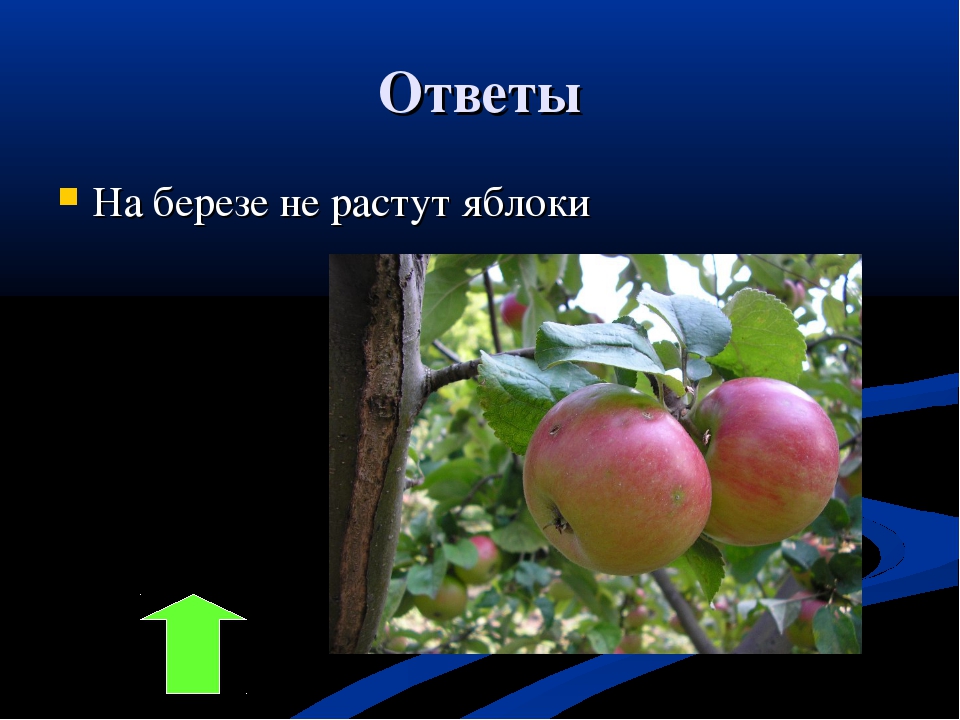 Не растут: Почему не растёт или снижается мышечная масса? 9 советов, для улучшенного роста мышц