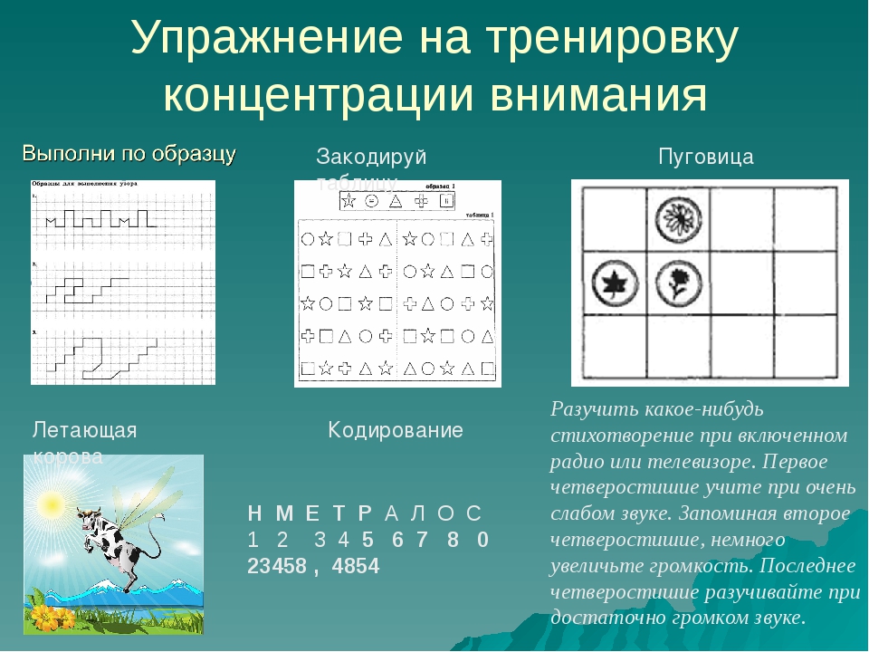 Внимание как развивать: Как развить внимательность: лучшие упражнения для повышения концентрации и памяти