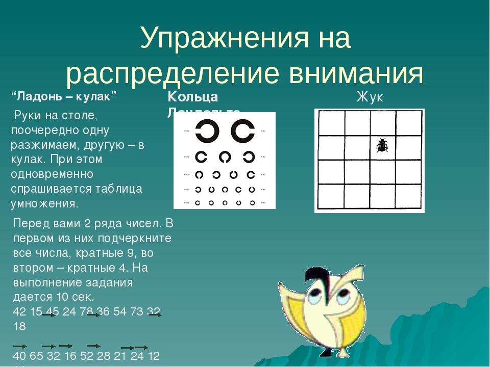 Как развить внимательность: Как развить внимательность: лучшие упражнения для повышения концентрации и памяти