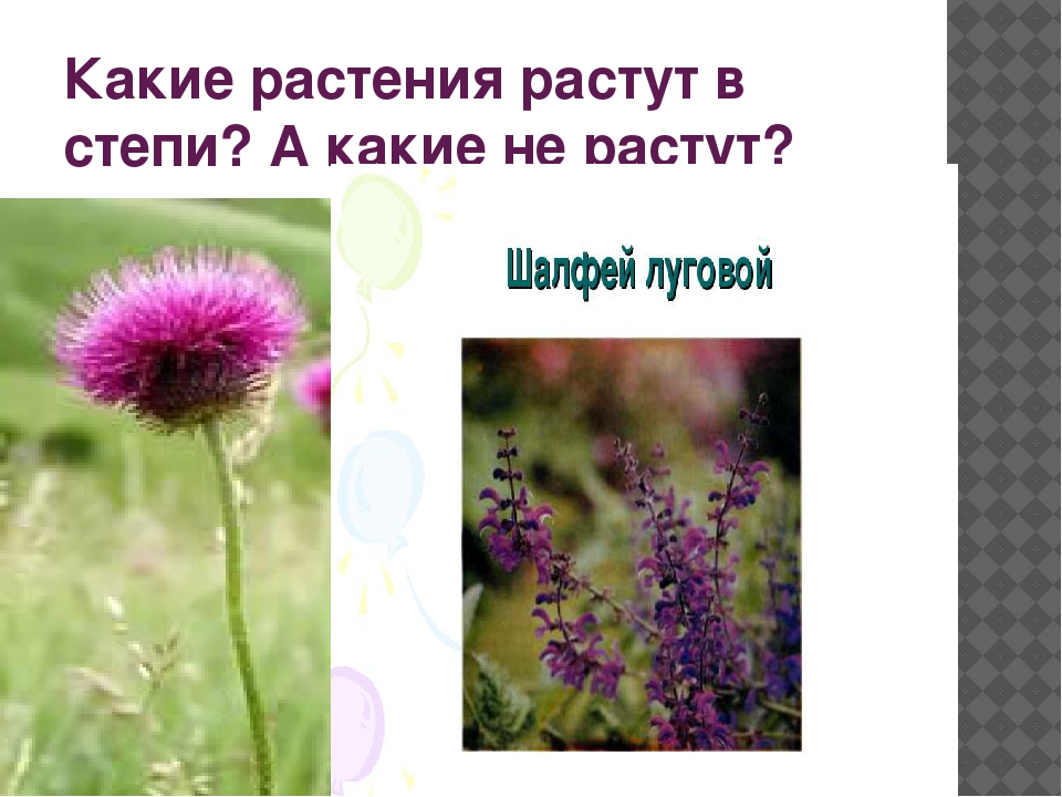 Не растут: Почему не растёт или снижается мышечная масса? 9 советов, для улучшенного роста мышц