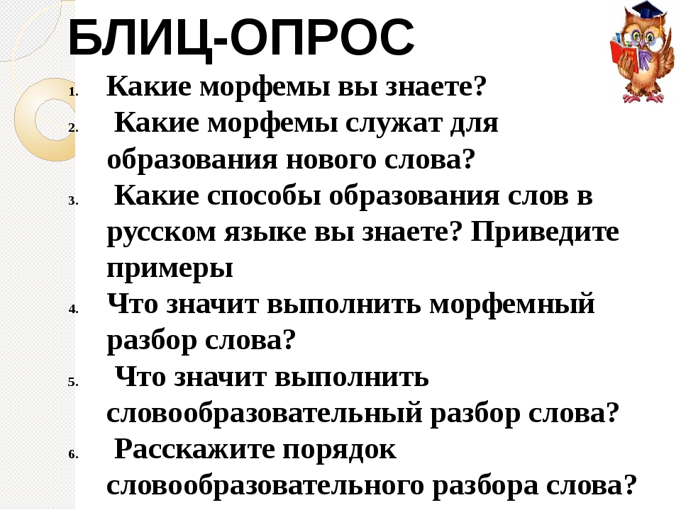 Блиц опрос для парня: 170 лучших вопросов, которые можно задать парню в переписки или на свидании