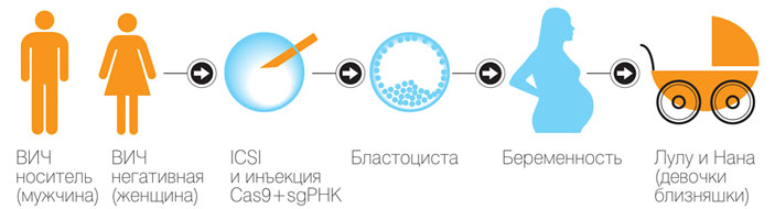 Схема китайского эксперимента («Коммерсантъ Наука» №63(4), декабрь 2018)