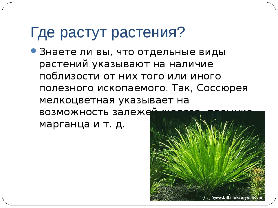 Не растут: Почему не растёт или снижается мышечная масса? 9 советов, для улучшенного роста мышц