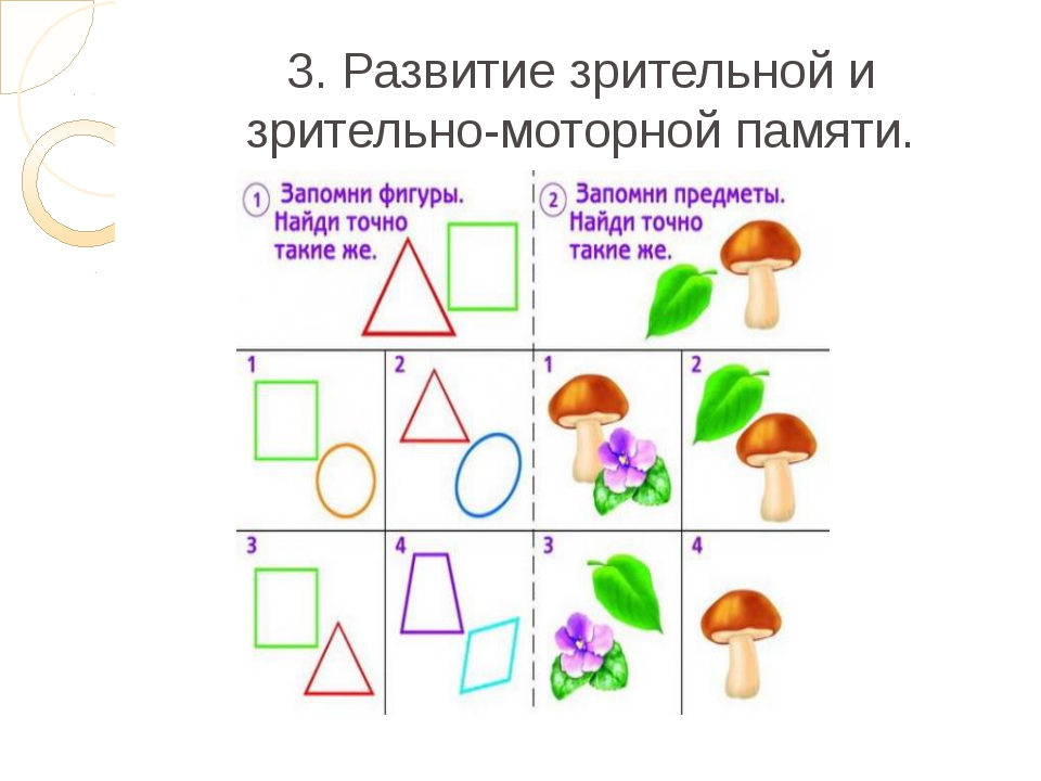 Как развивать слуховую память: особенности, пути развития, какую роль она играет в повседневной активности