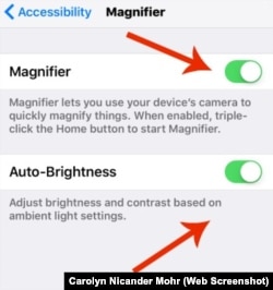 iPhone Magnifier Settings