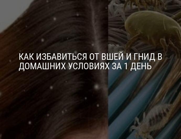 Как избавиться навсегда от: Книга: "Как навсегда избавиться от боли в суставах" - Ирина Зайцева. Купить книгу, читать рецензии | ISBN 978-5-386-05449-6