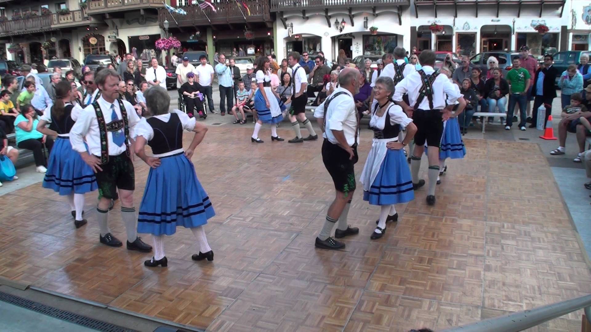 Фото полька: Роза Полька (Polka): фото, отзывы, описание, характеристики.