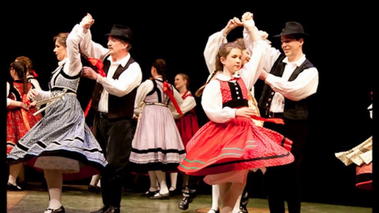 Фото полька: Роза Полька (Polka): фото, отзывы, описание, характеристики.
