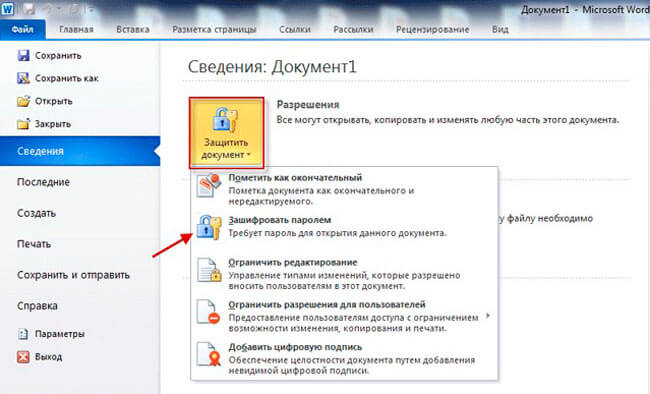 Защищенный файл word. Пароль на документ Word. Пароль на документ ворд. Пароль на файл ворд 2010. Пароль на открытие файла Word.