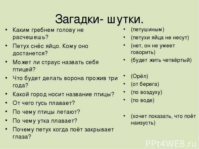Интересные ответы на вопросы: Лучшие ответы на самые разные вопросы о мире — Wonderzine