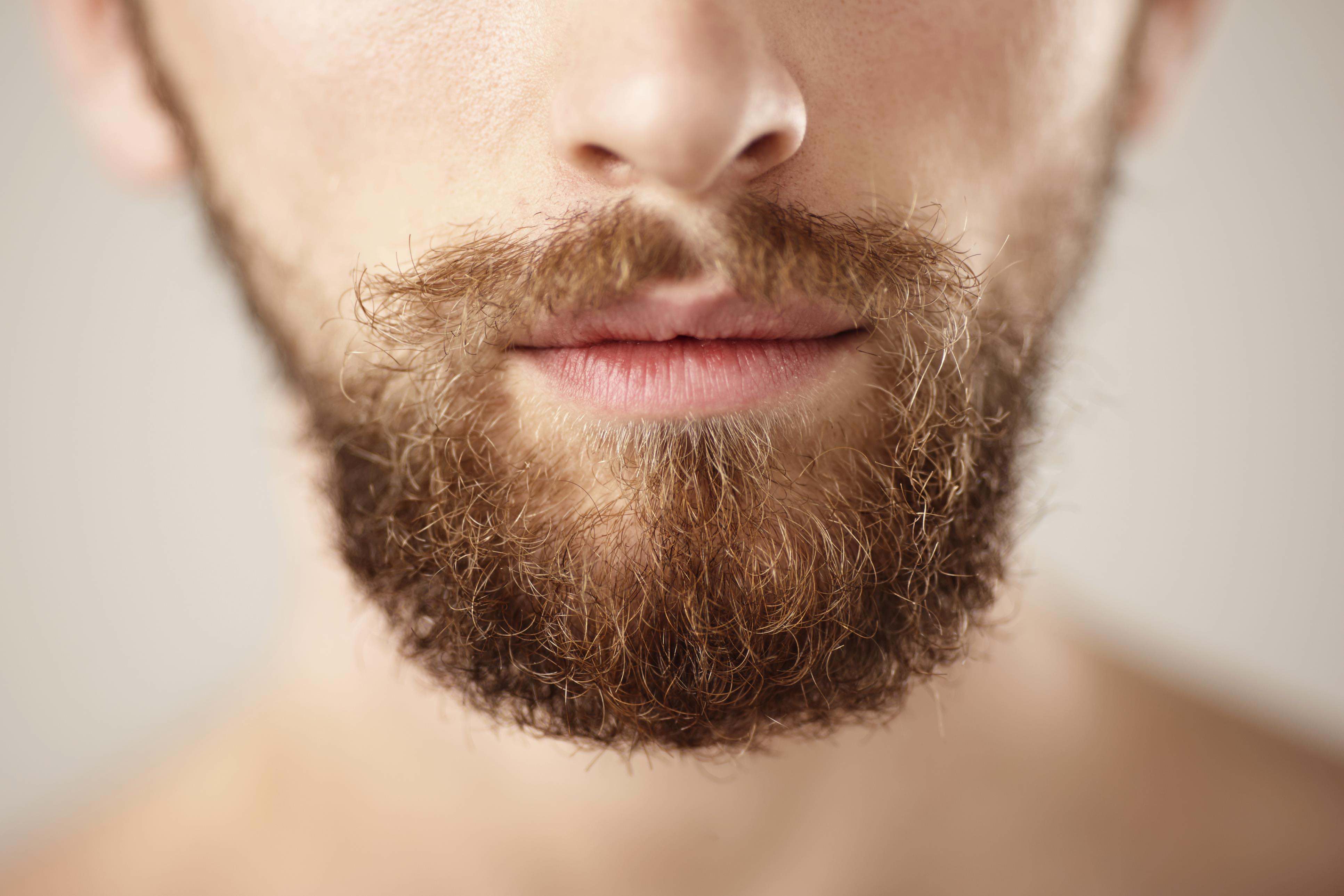 Как побриться красиво бороду: видеинструкция как правильно подстригать бороду