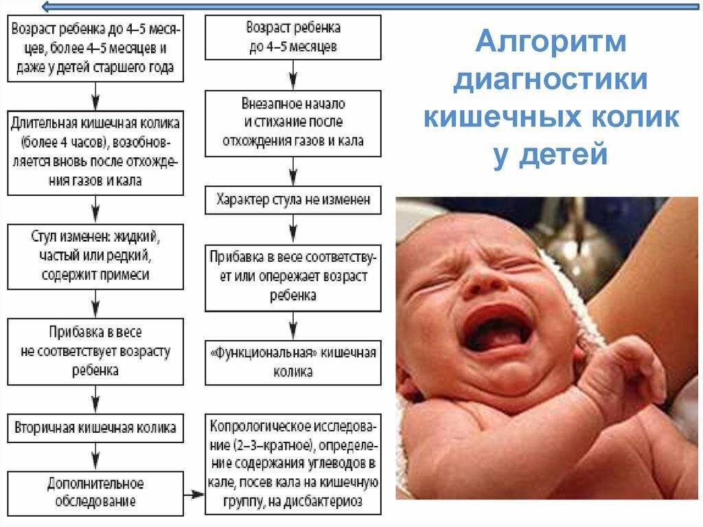 Колики у новорожденных: что делать, когда ребенок плачет ночью и не спит днем