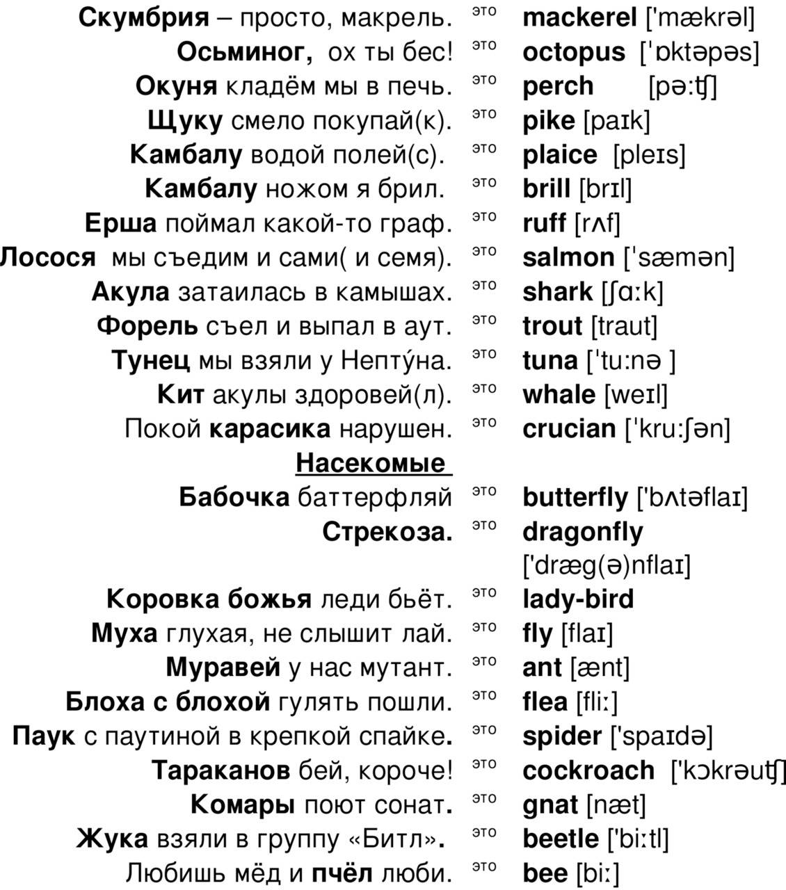 Как выучить английские слова быстро: как быстро выучить английские слова