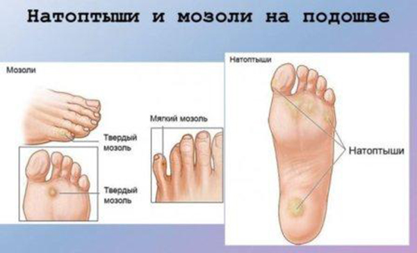 Размер мужских носков 27: Размеры мужских носков, таблица размеров носок для мужчин