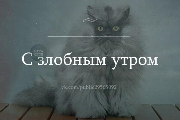 Можно подумать вы по утрам лучше выглядите: Мем: "Доброе Утро!! Ой ,можно подумать вы по утрам лучше выглядите!!!" - Все шаблоны