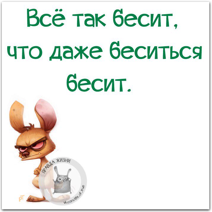 Все бесят: Что пить, если все бесит? Пять легальных средств, которые помогут обрести дзен