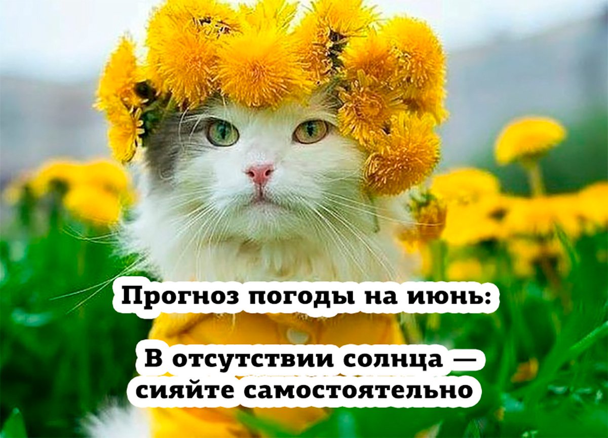 Можно подумать вы по утрам лучше выглядите: Мем: "Доброе Утро!! Ой ,можно подумать вы по утрам лучше выглядите!!!" - Все шаблоны