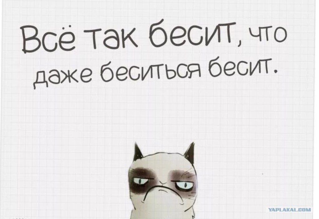 Что делать если все бесят тебя: «Что делать, когда всё бесит?» – Яндекс.Кью