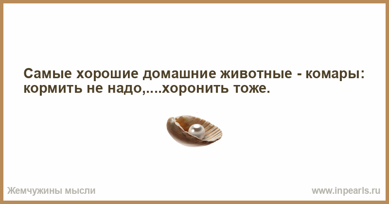 Почему мужчина быстро кончается: «Почему мужчина быстро заканчивает?» – Яндекс.Кью