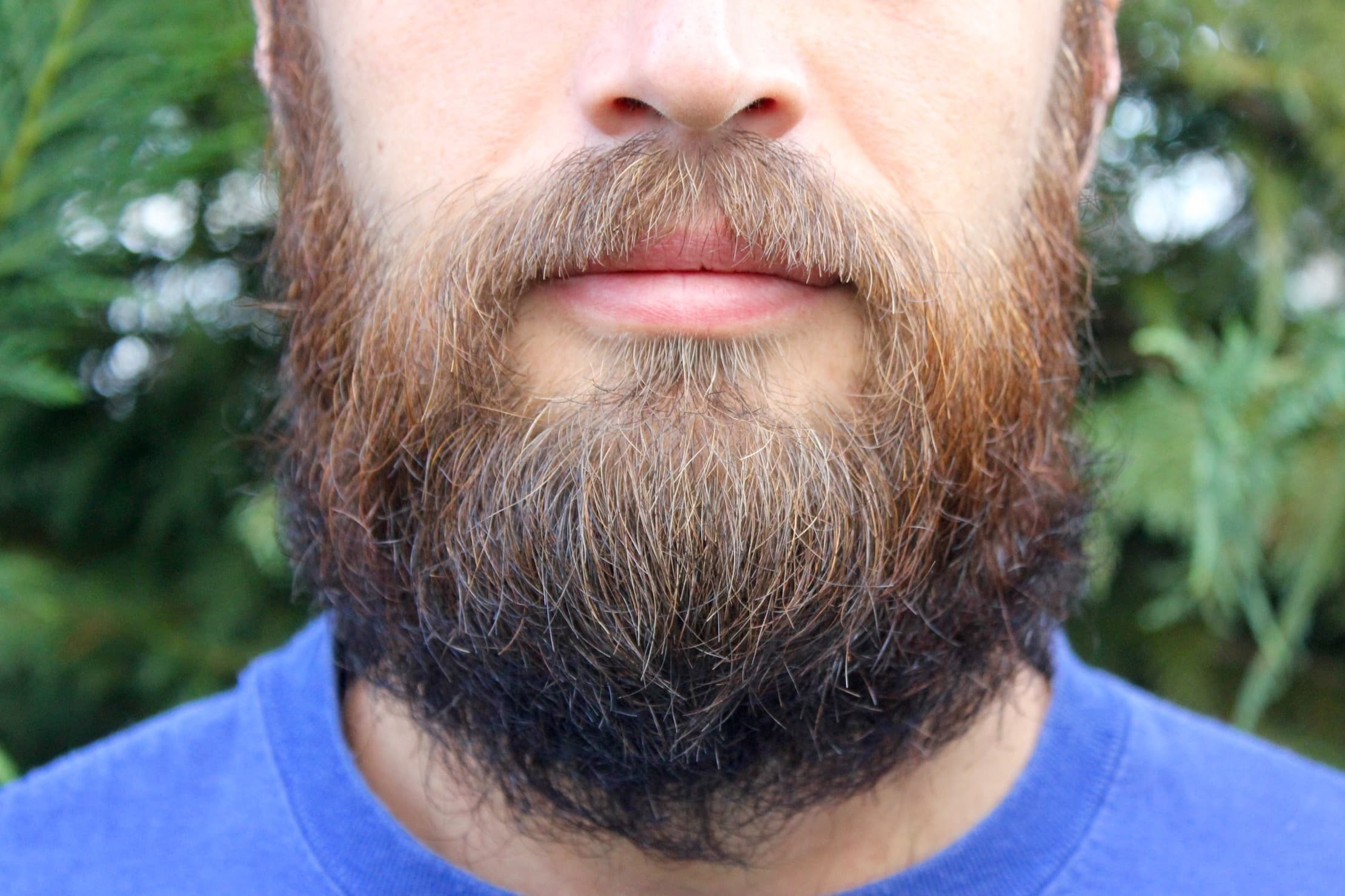 Как отрастить бороду в домашних условиях: 5 быстрых и правильных способов от докторов