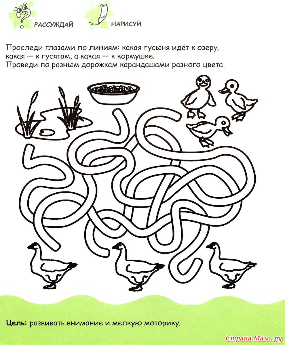 Развивающие задачи логику: с ответами и решениями, развивающие задания