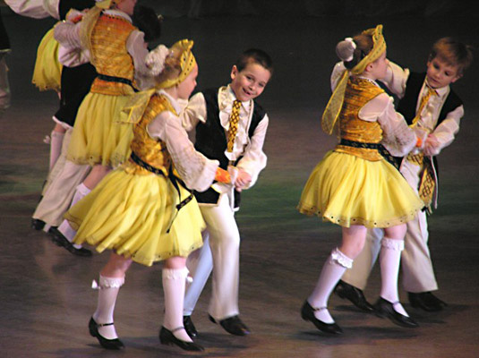 Фото полька: Роза Полька (Polka): фото, отзывы, описание, характеристики.