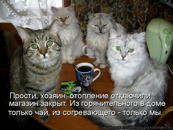 Можно подумать вы по утрам лучше выглядите: Мем: "Доброе Утро!! Ой ,можно подумать вы по утрам лучше выглядите!!!" - Все шаблоны