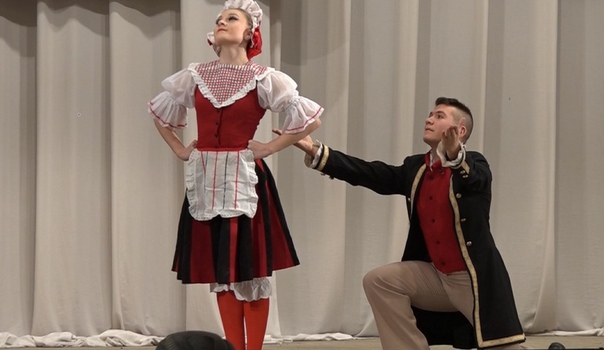 Фото полька: Роза Полька (Polka): фото, отзывы, описание, характеристики.