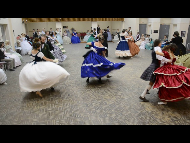 Фото полька: Роза Полька (Polka): фото, отзывы, описание, характеристики.