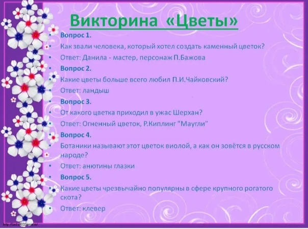 Интересные ответы на вопросы: Лучшие ответы на самые разные вопросы о мире — Wonderzine