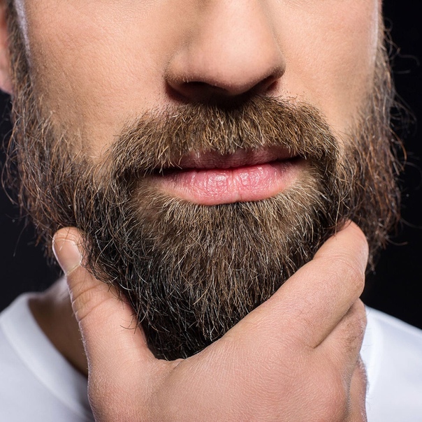 Можно ли носить бороду военным: Военный суд в Петербурге отменил приказ офицера подчиненному с требованием сбрить бороду - Общество