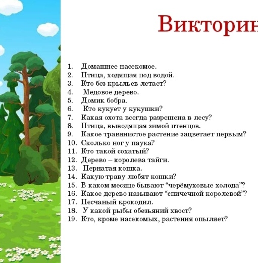 Интересные ответы на вопросы: Лучшие ответы на самые разные вопросы о мире — Wonderzine