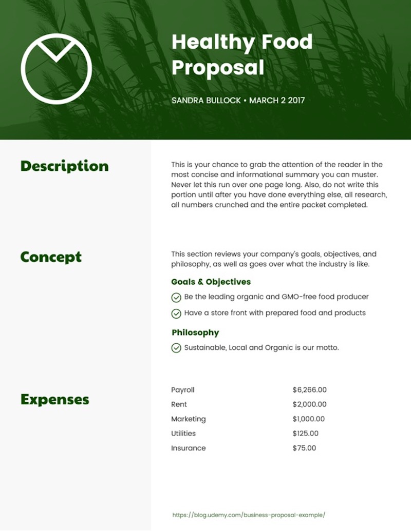 One Page Business Proposal Template