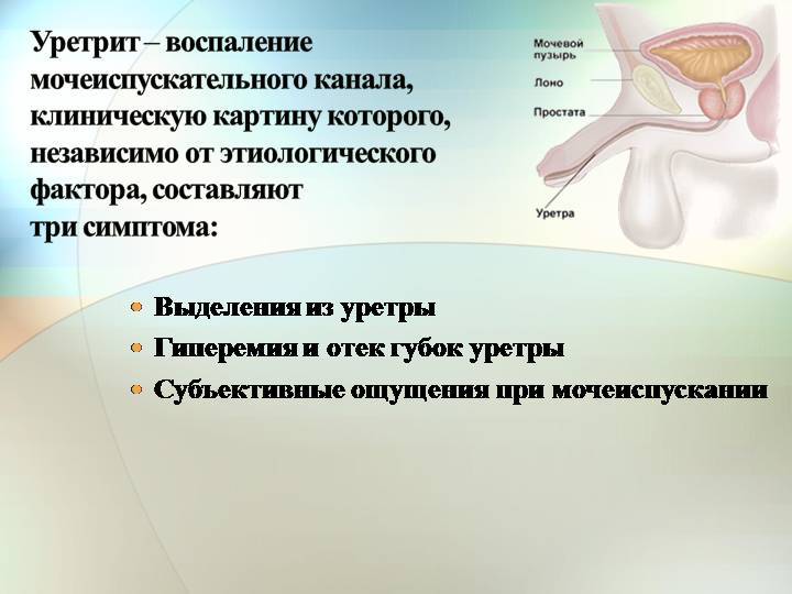 Падает во время полового акта: Почему у мужчины во время акта падает член и в процессе секса пропадает эрекция