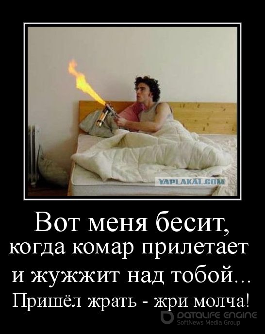 Все бесят: Что пить, если все бесит? Пять легальных средств, которые помогут обрести дзен