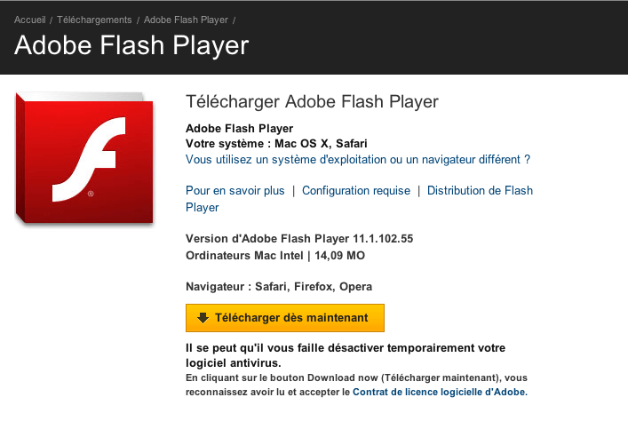 Flash player версии 10