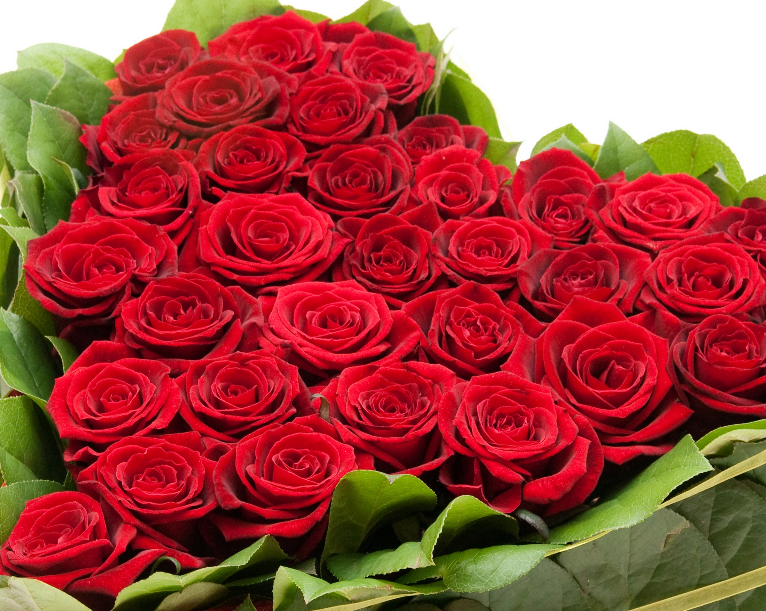 Букеты цветов для любимой девушки: Букет для любимой девушки — купить в Санкт-Петербурге
