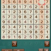 Sudoku Fun