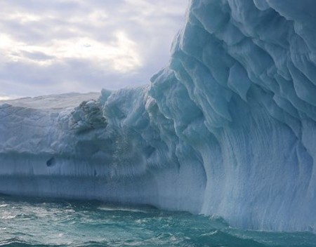 Земля Арктика: выживание любой ценой