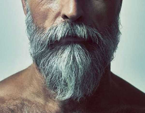 Борода 2019 фото – Модные бороды 2019: фотоподборка и тренды