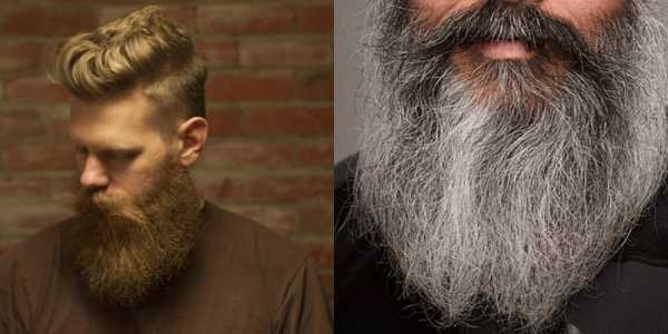 Борода чинстрап – Модные стрижки бороды по форме лица: фото + видео инструкция